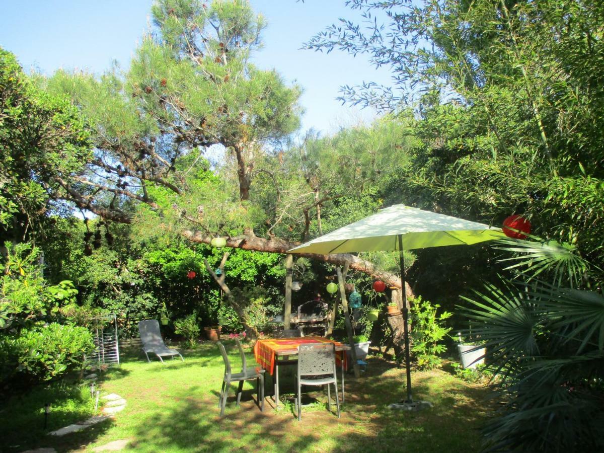 Jardin Et Bambous, Studio Cosy, Classe 2 Etoiles Марсилан Екстериор снимка