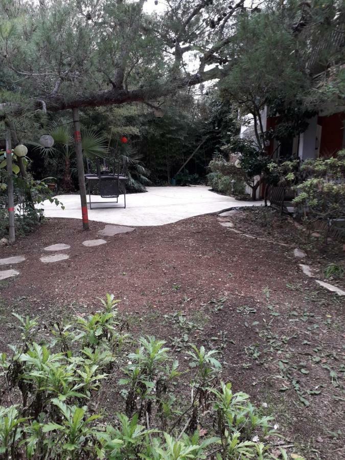 Jardin Et Bambous, Studio Cosy, Classe 2 Etoiles Марсилан Екстериор снимка